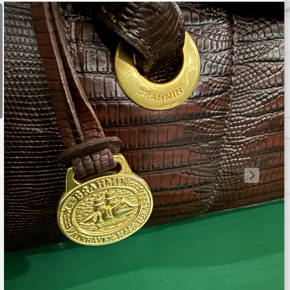 NWT GORGEOUS Brahmin Rosalie Truffle Cooper Shoulder Bag - Picture 7 of 13